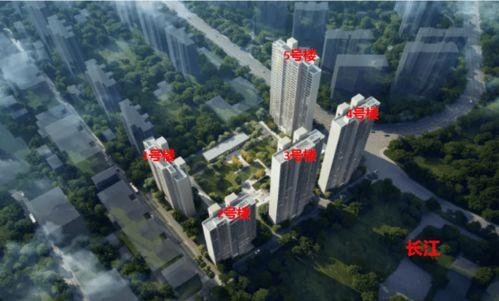 保利爆料最新消息今天,今日热点事件深度解析